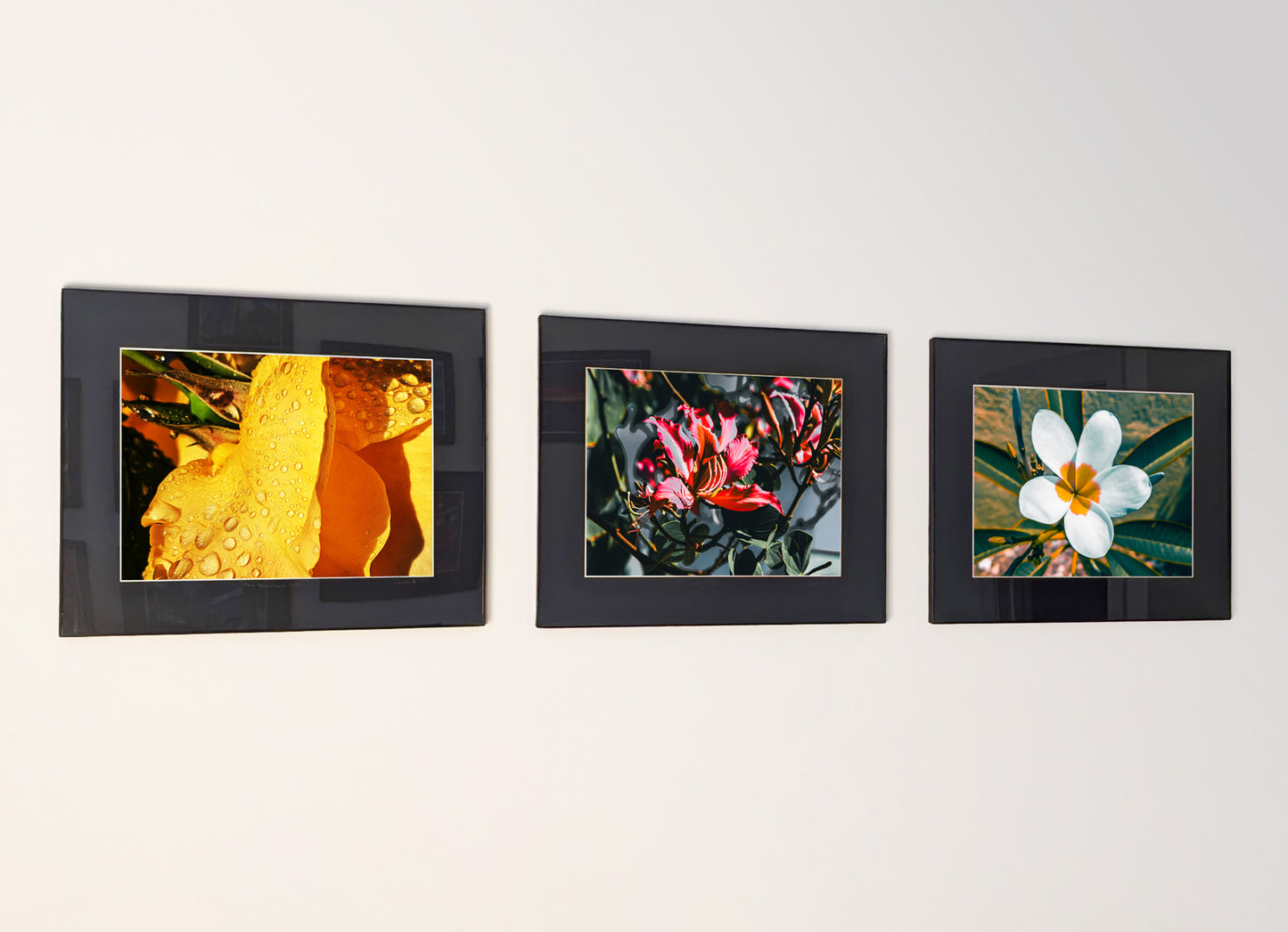 Example of a three-piece atmospheric photography series combination displayed on a wall