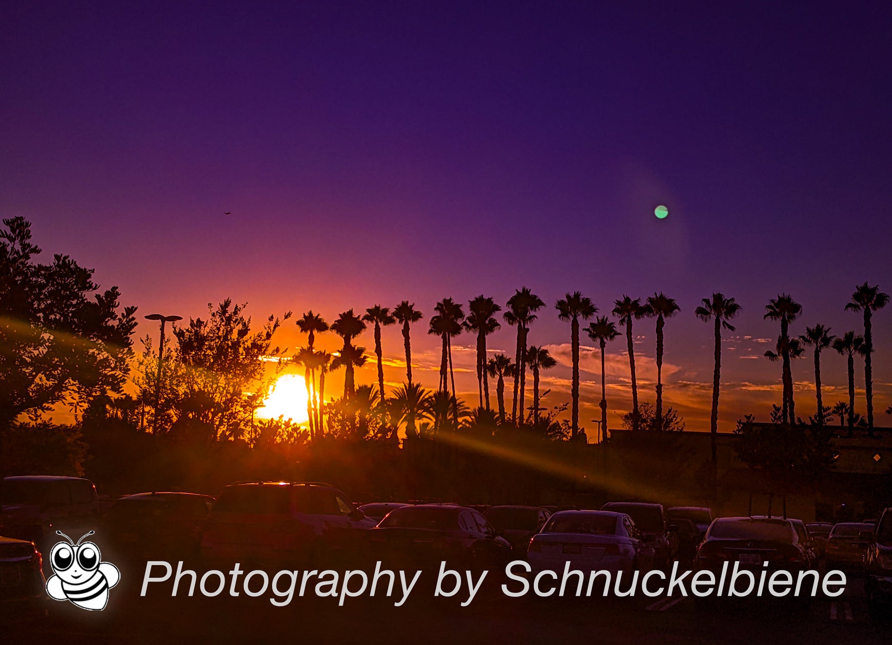 Framed photograph of a California sunset with palm trees, set against a purple sky