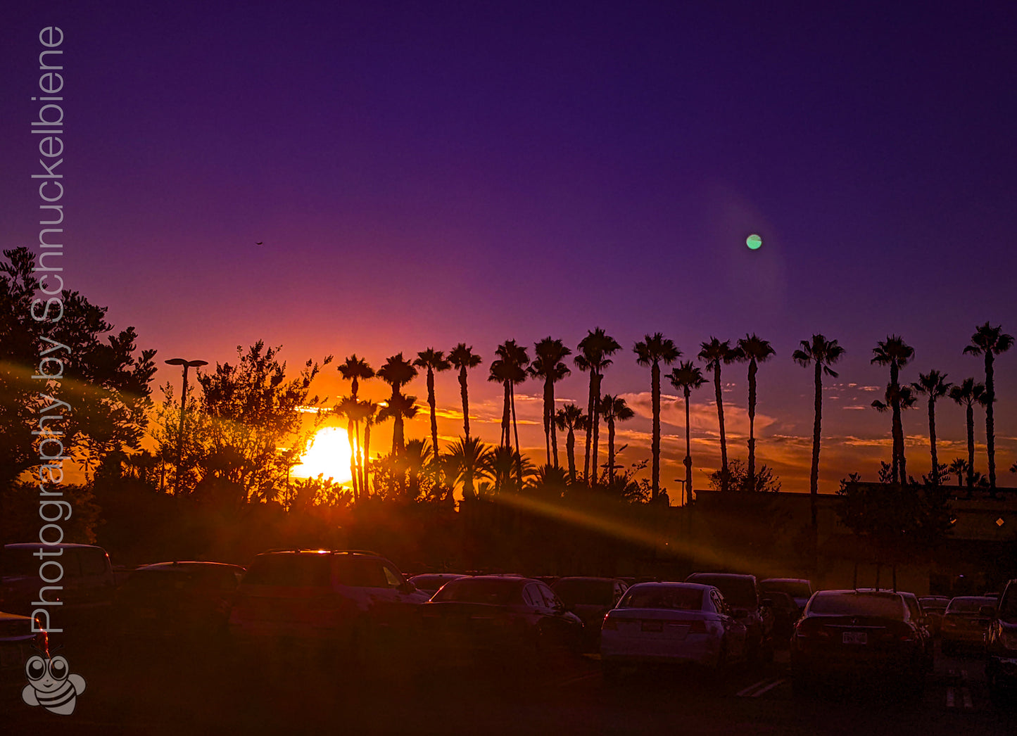 Framed photograph of a California sunset with palm trees, set against a purple sky