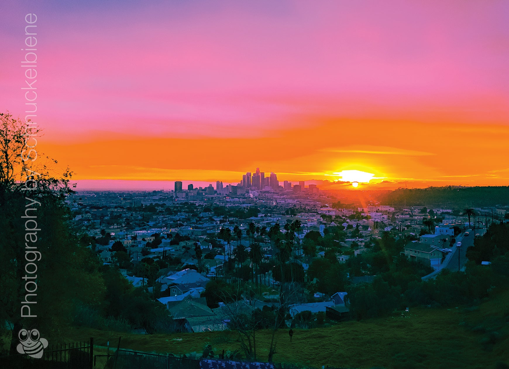 Framed photograph of the DTLA (Downtown Los Angeles) cityscape at sunset with vibrant pink and orange colors