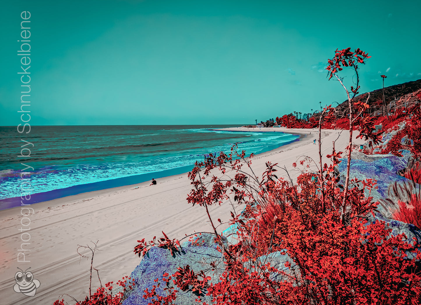 Framed fine art print of Topanga Beach with turquoise water, blue sky, empty shoreline, and pink bougainvillea in the foreground