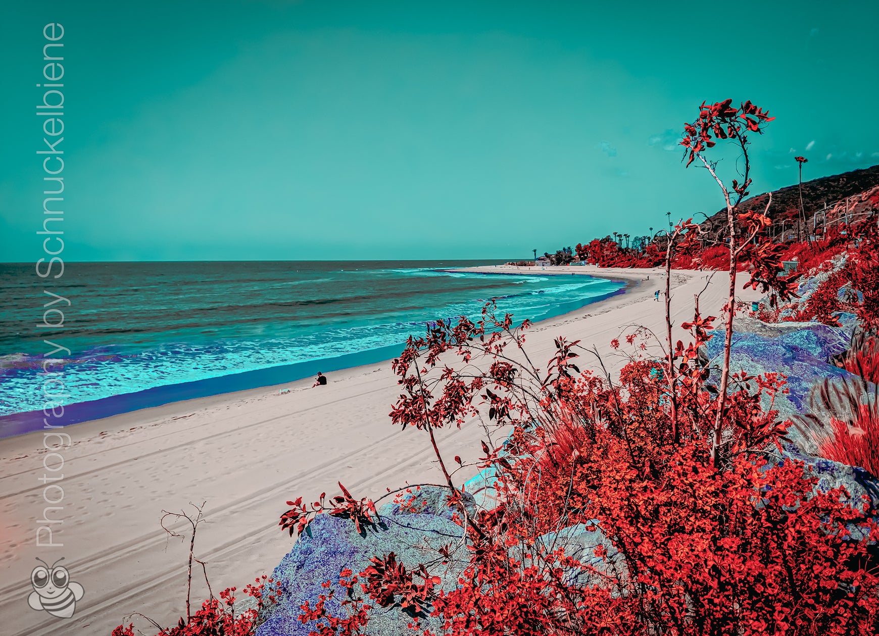 Framed fine art print of Topanga Beach with turquoise water, blue sky, empty shoreline, and pink bougainvillea in the foreground