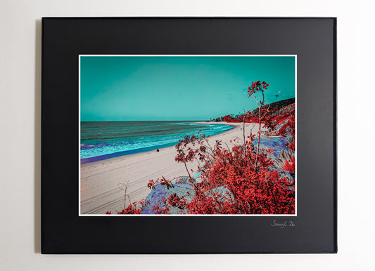 Framed fine art print of Topanga Beach with turquoise water, blue sky, empty shoreline, and pink bougainvillea in the foreground