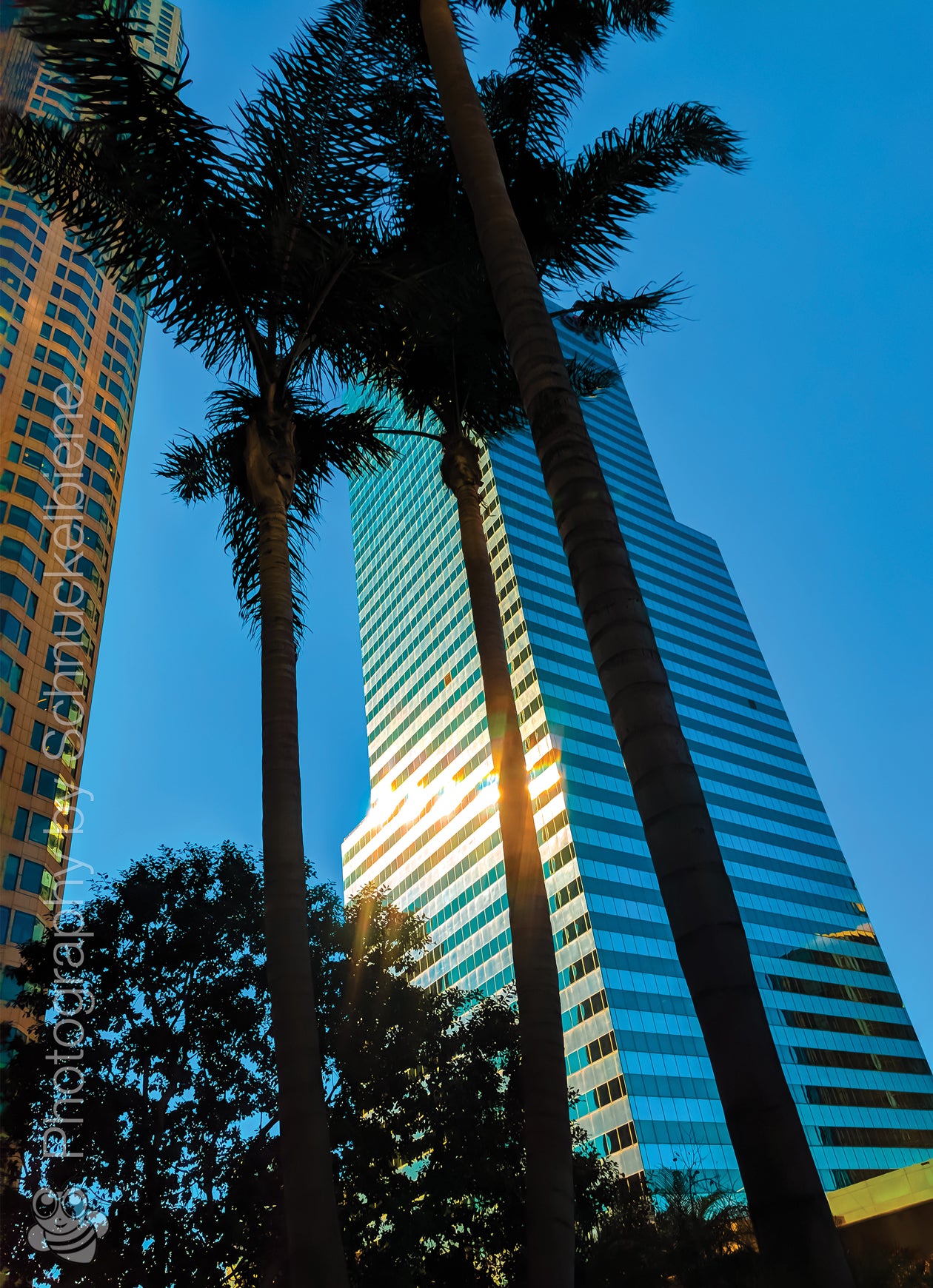 Framed photo print of the US Bank Tower in downtown Los Angeles at sunrise, with a golden glow and reflection of pastel skies