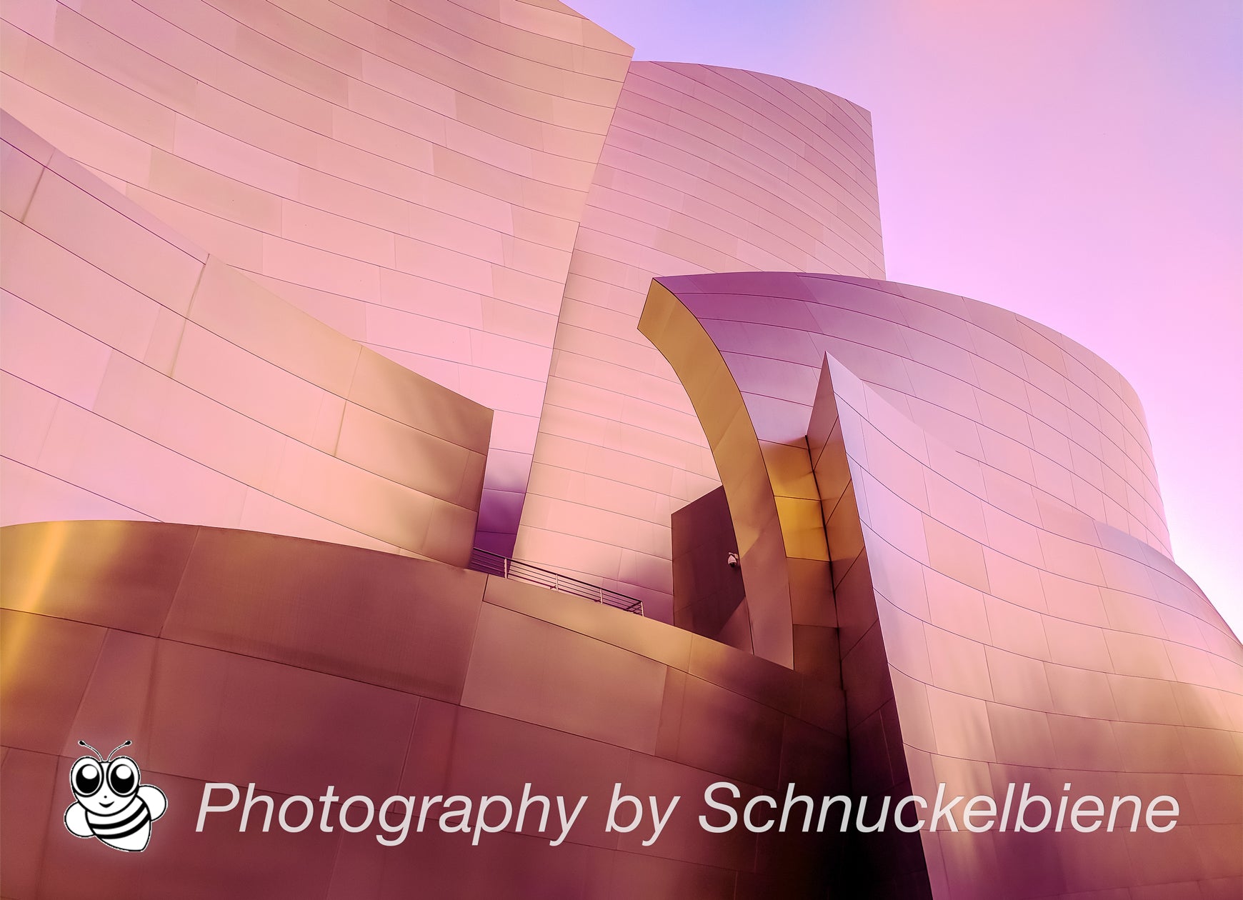 Framed fine art print of Frank Gehry’s Walt Disney Concert Hall in Los Angeles, featuring soft pink-toned metal and flowing architectural curves