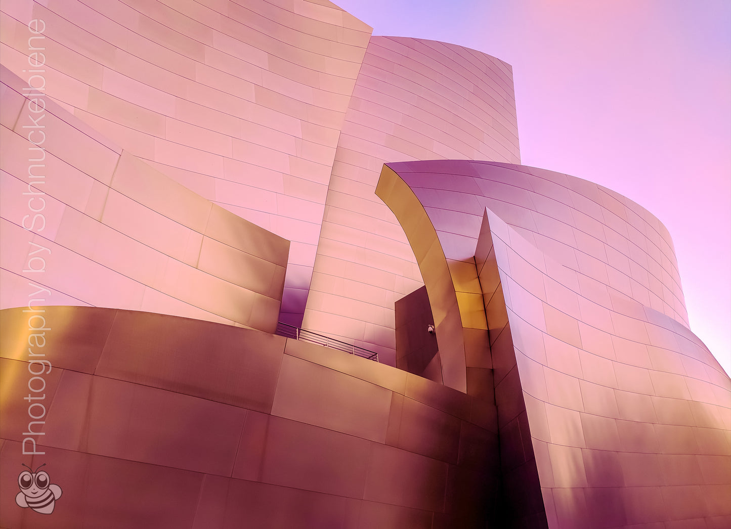 Framed fine art print of Frank Gehry’s Walt Disney Concert Hall in Los Angeles, featuring soft pink-toned metal and flowing architectural curves