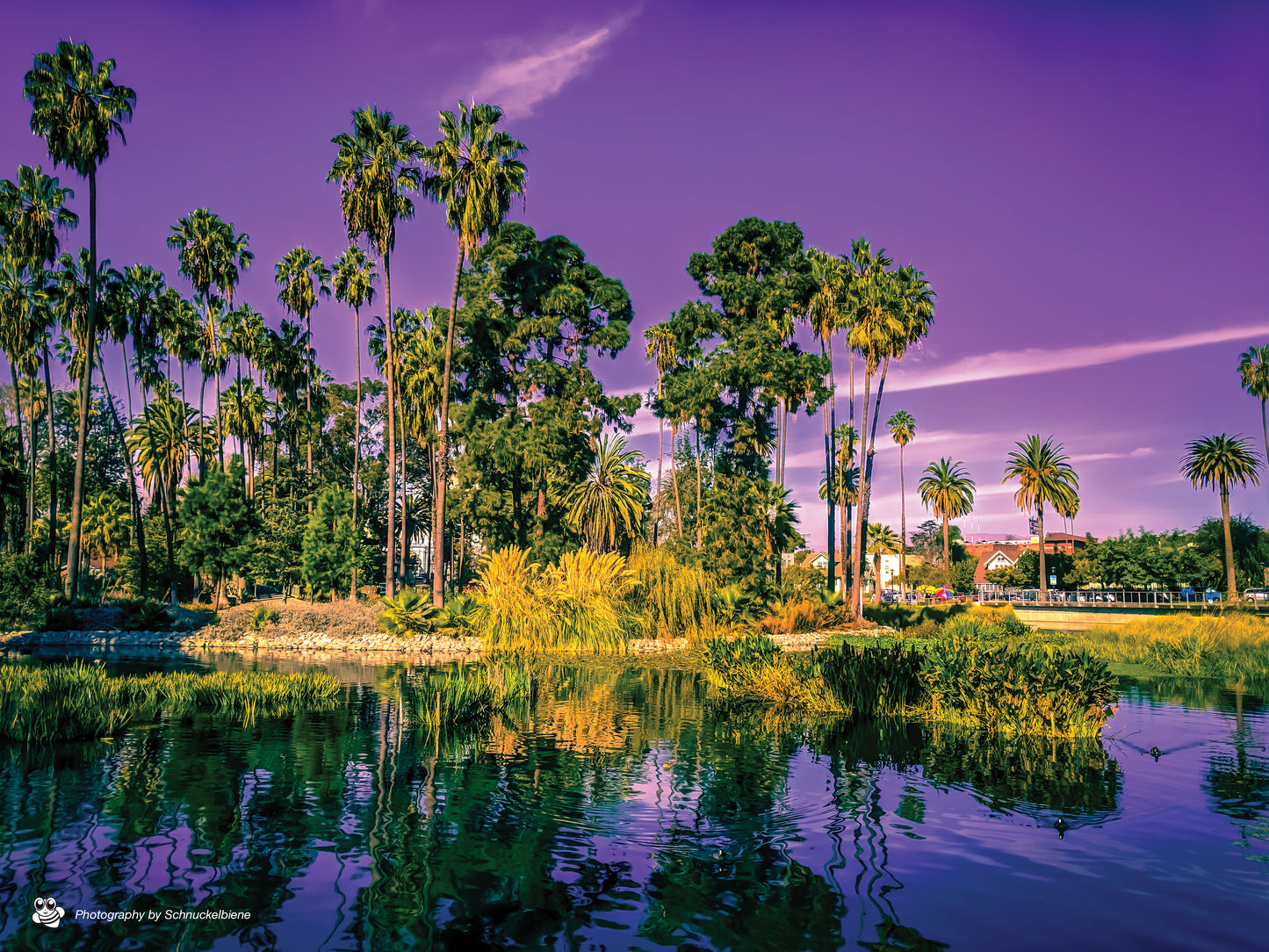 A sunny Saturday in Echo Park by Downtown Los Angeles