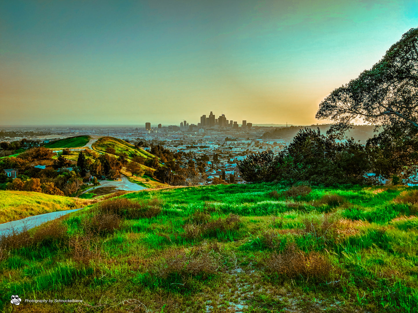 Photo of the serene Glass Top Hill in Lincoln Heights, showcasing stunning views of downtown Los Angeles and peaceful surroundings
