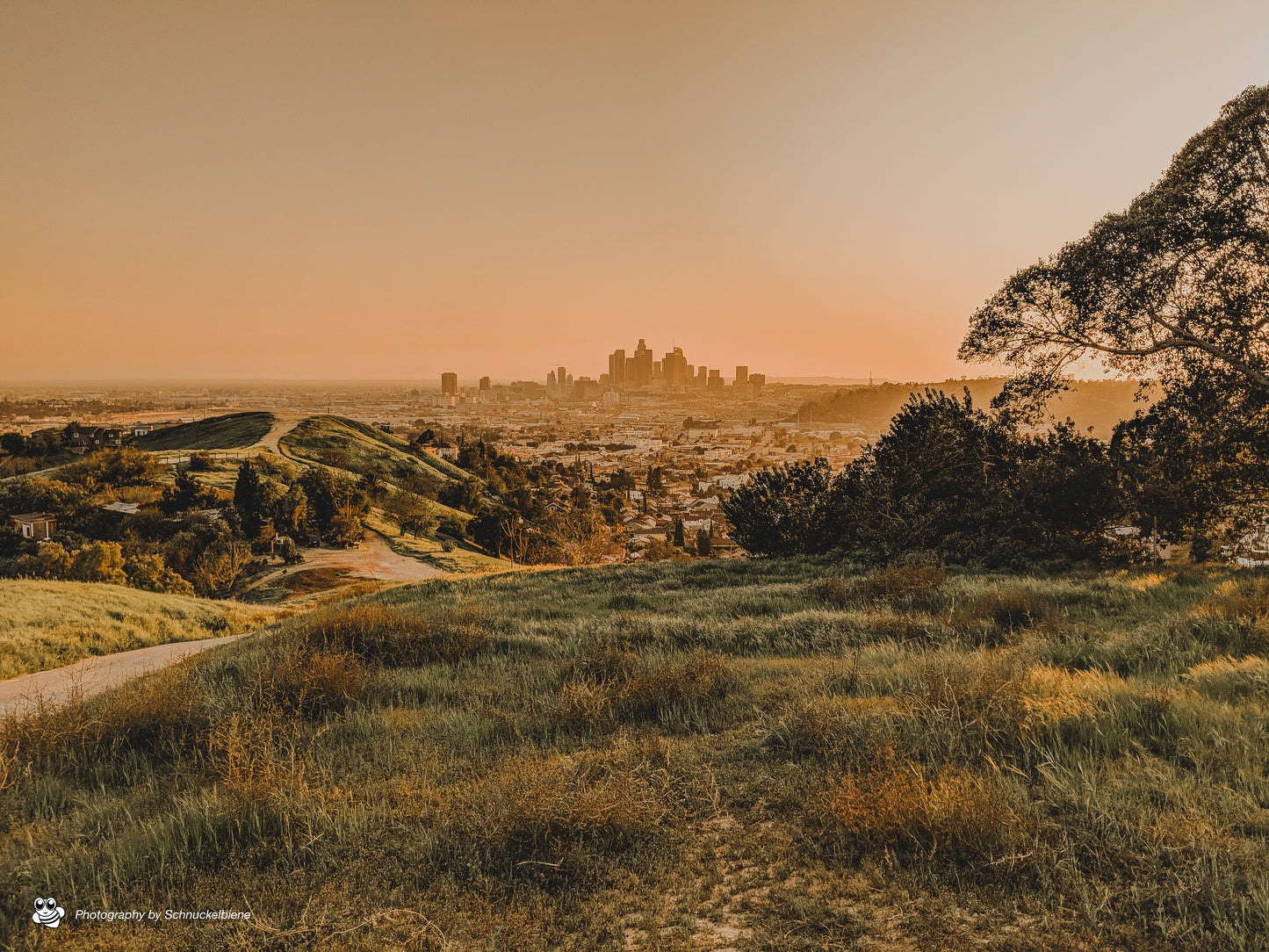 Photo of the serene Glass Top Hill in Lincoln Heights, showcasing stunning views of downtown Los Angeles and peaceful surroundings