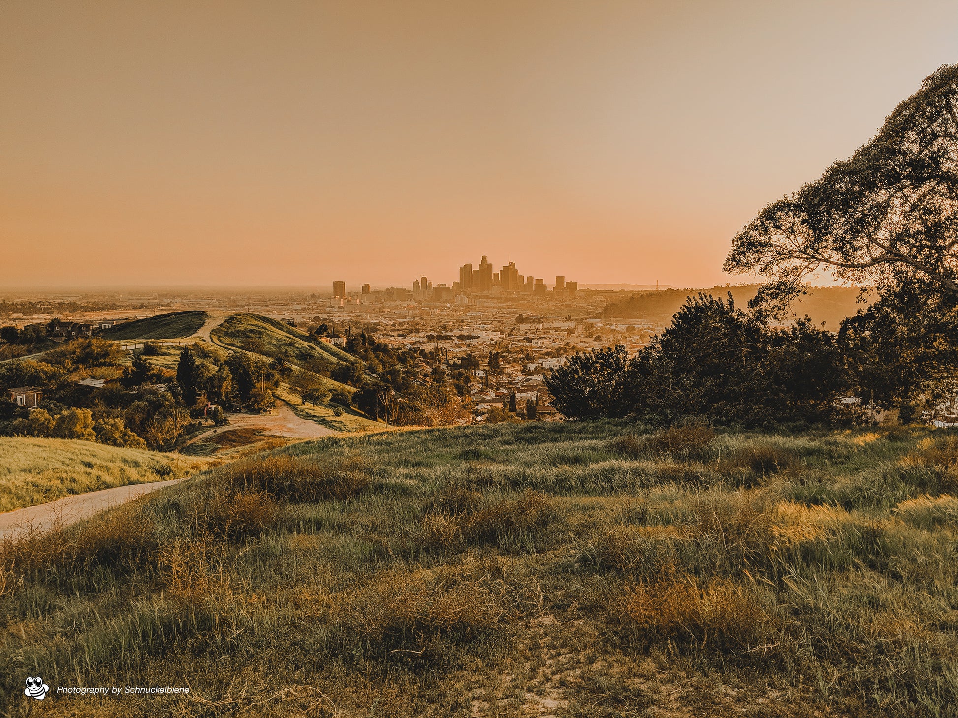 Photo of the serene Glass Top Hill in Lincoln Heights, showcasing stunning views of downtown Los Angeles and peaceful surroundings