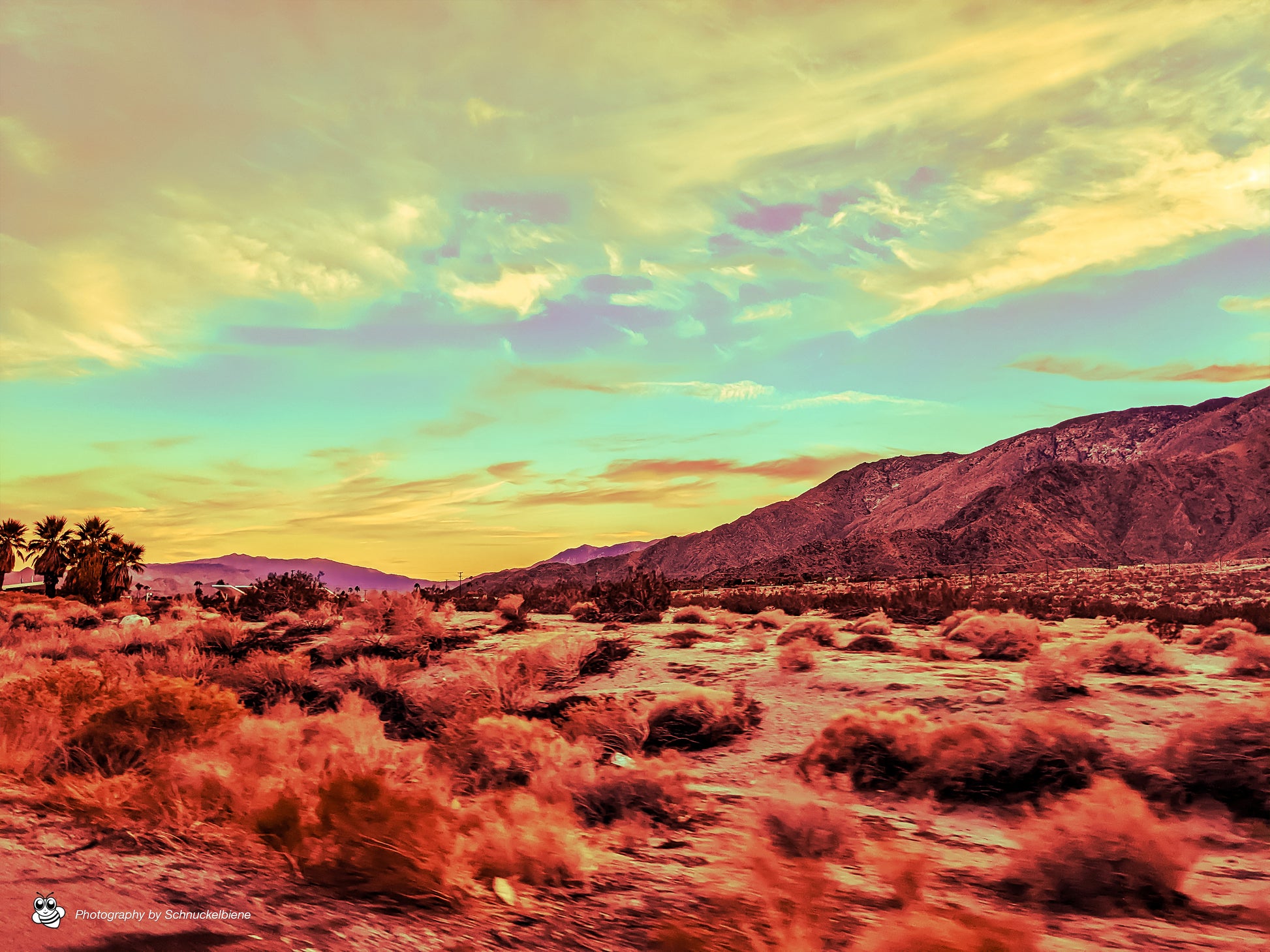 As you drive along Highway 10 toward Palm Springs, the vast desert landscape stretches endlessly before you. A breathtaking panorama bathed in golden sunlight. The arid expanse is dotted with hardy vegetation like Joshua trees and creosote bushes, while the occasional dust devil swirls in the distance. The desert, though seemingly barren, is alive with subtle beauty—its silence interrupted only by the whisper of the wind.