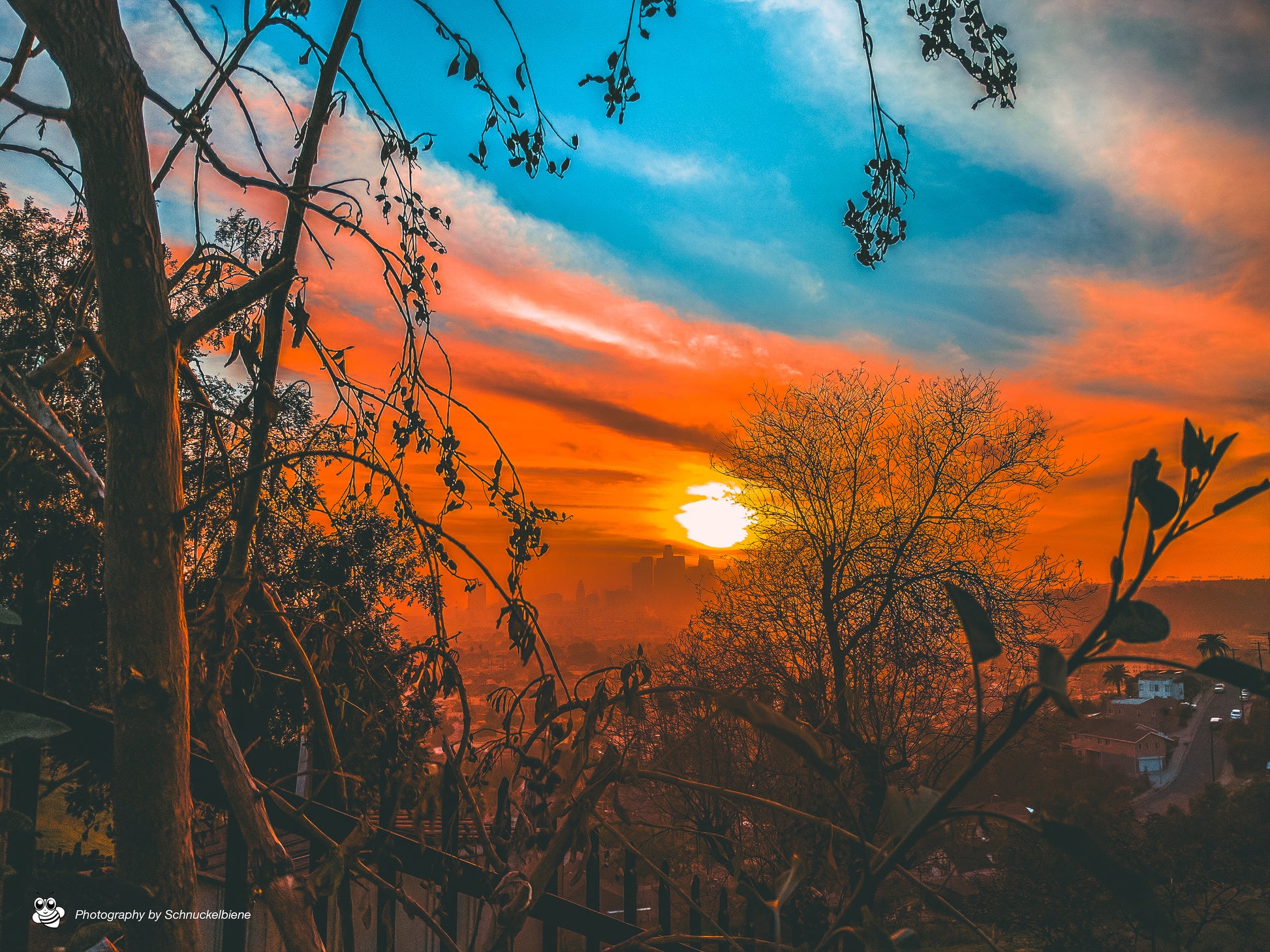 Distant mystic view of DTLA with dark bushes in foreground and dramatic orange-blue sky