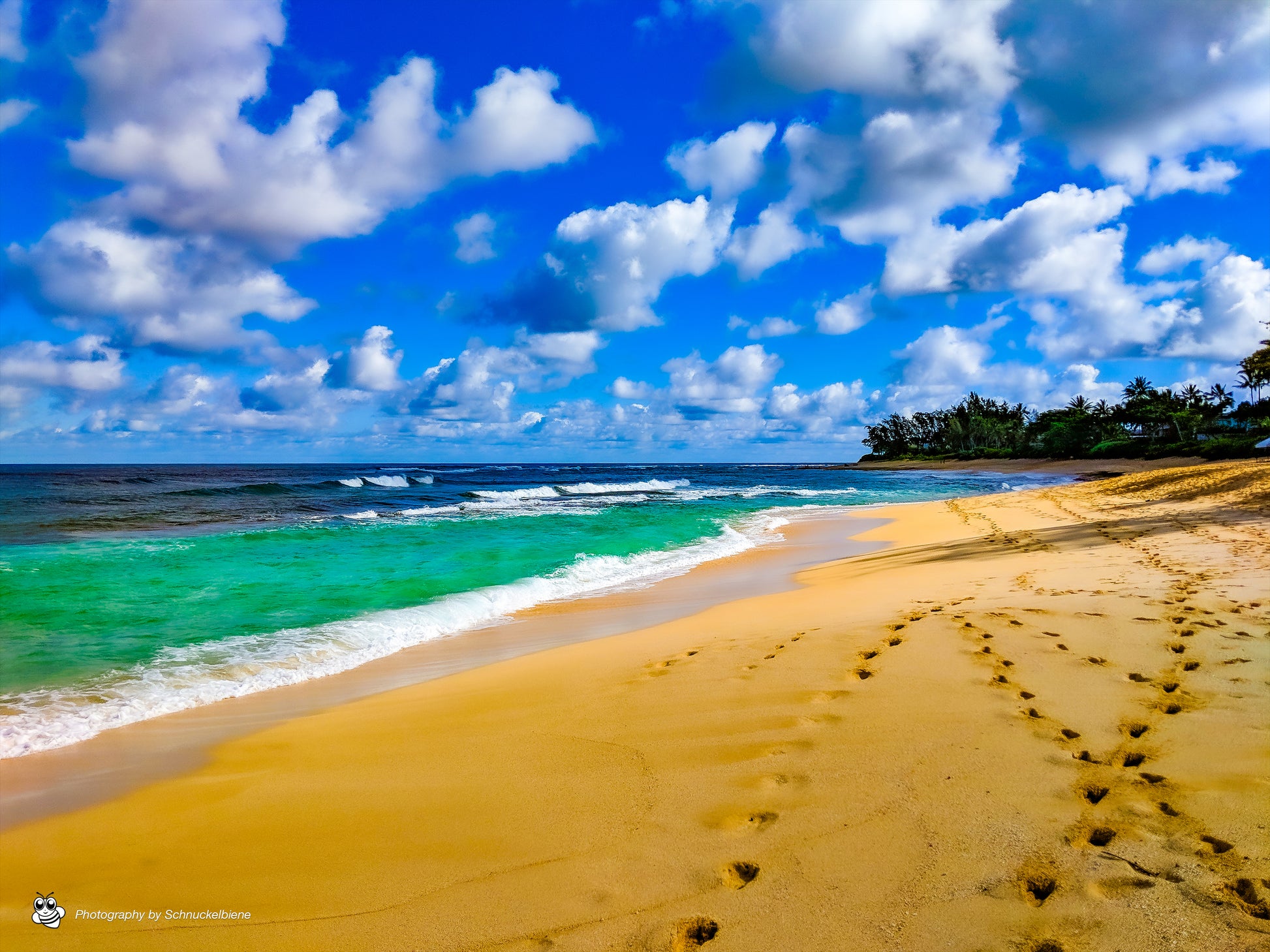 Framed fine art print of Waimea Beach, Oahu, showcasing crystal-clear turquoise water and golden sand, a true Hawaiian paradise
