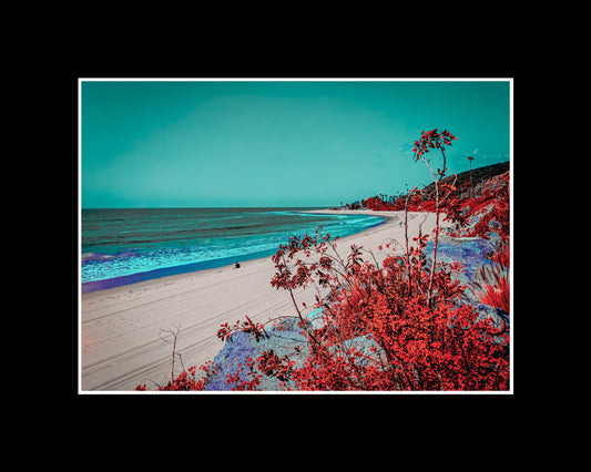 Framed fine art print of Topanga Beach with turquoise water, blue sky, empty shoreline, and pink bougainvillea in the foreground