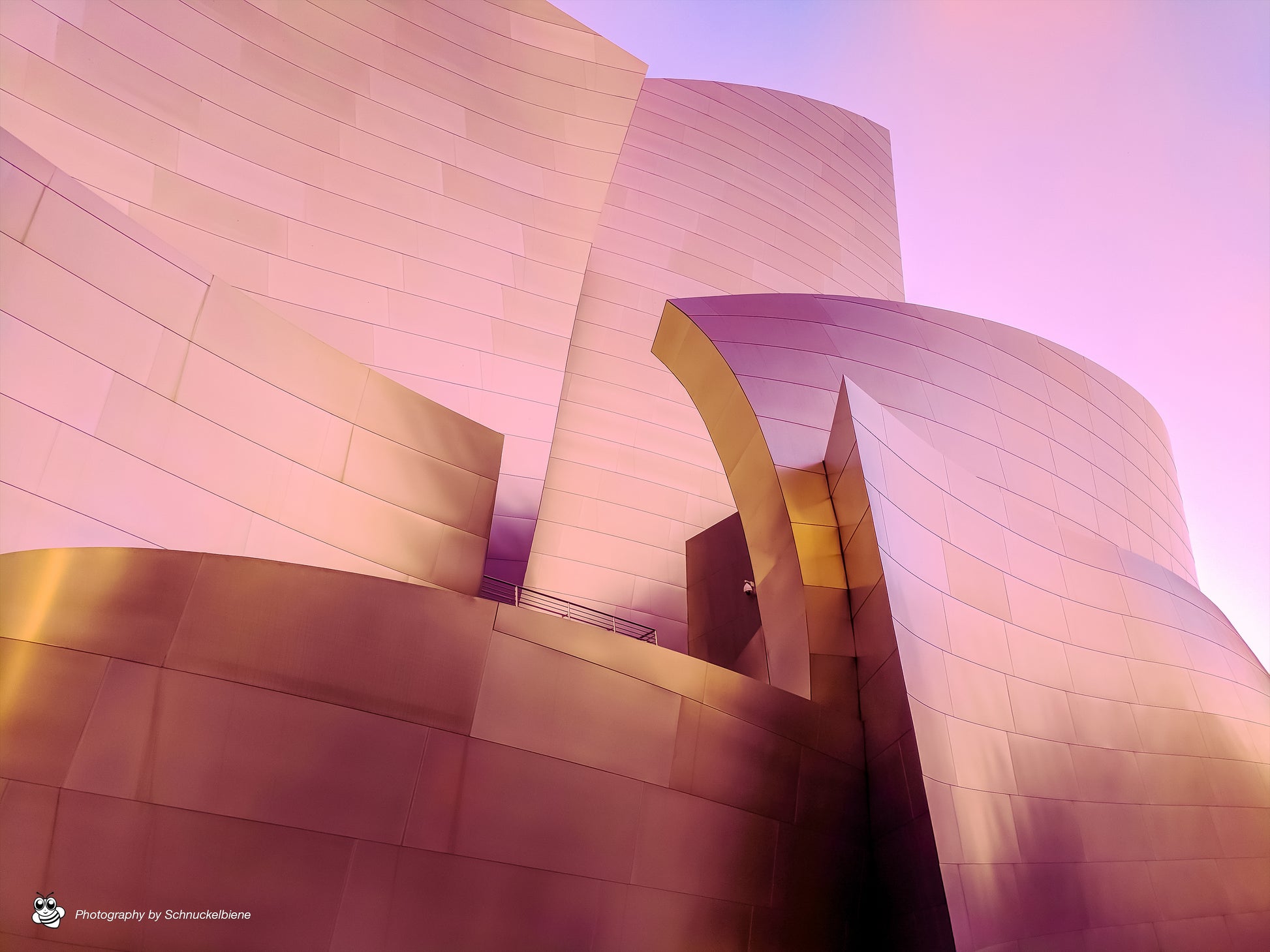 Framed fine art print of Frank Gehry’s Walt Disney Concert Hall in Los Angeles, featuring soft pink-toned metal and flowing architectural curves
