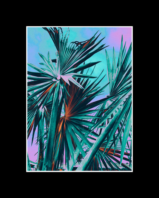Framed fine art print of a Washingtonia filifera palm in deep blue tones against a minimal background