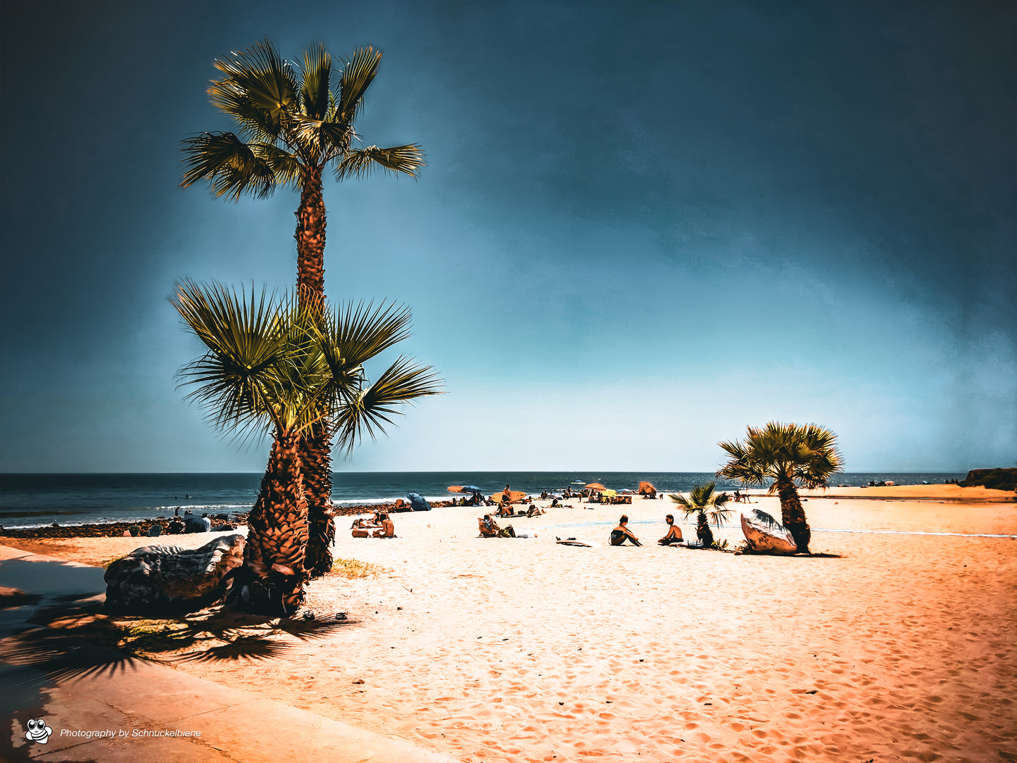 Framed fine art print of a tranquil Zuma Beach scene in Malibu, with palm trees and a peaceful, open shoreline